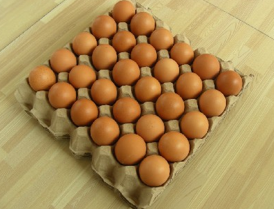 Khay Giấy Định Hình Đựng Trứng